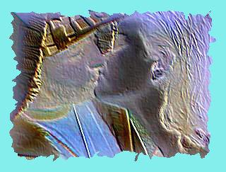 Ecrit par black7xs les amoureux